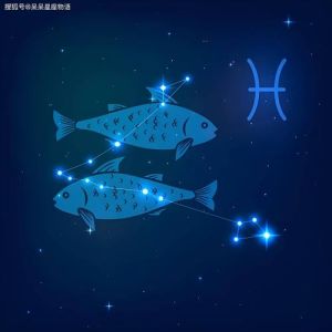 2025年生肖星座运势盛宴：鼠龙狮双鱼闪耀职场爱情