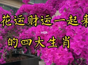 2025年四大生肖桃花旺，鼠牛兔龙丰收爱情财运！