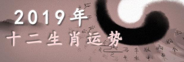生肖星座运势揭秘：吉星高照，好运降临！