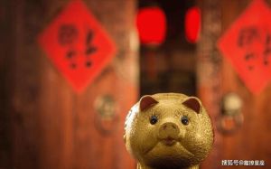 生肖牛狗猪明日运势揭秘：爱情财运事业转折点