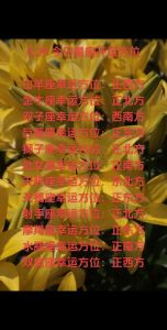生肖星座好运期：鼠龙羊天秤迎转机，事业财富双丰收！
