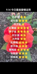 2025爱情运势：生肖星座桃花盛开，幸福降临时刻！