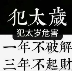 2025：生肖爱情家庭大丰收，幸福满溢年