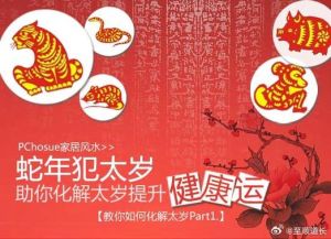2025年生肖星座运势揭秘：把握事业高峰时刻！