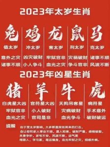 2025年生肖桃花盛宴：鼠兔龙羊的爱情机遇