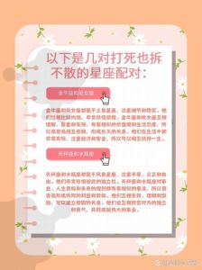 2025年生肖星座运势揭秘：爱情秘密大公开！