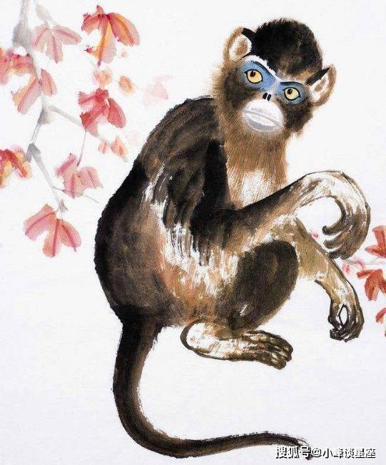 2025生肖爱情盛宴：鼠龙羊猴浪漫之旅