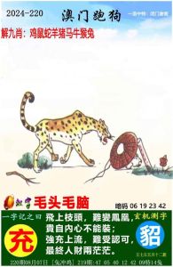 2025鼠虎龙蛇大逆袭：盛夏机遇，财富爱情双丰收！