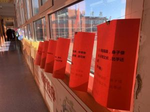 2025生肖运势：鼠龙狗巨蟹丰收年，把握机遇迎成功！