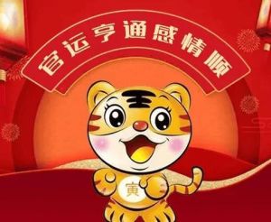 2025年生肖好运：鼠龙蛇马丰收年