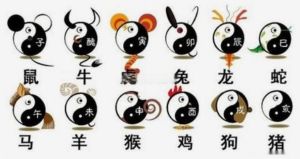 2025生肖运势：鼠龙猴狗横财滚滚，事业飞跃年