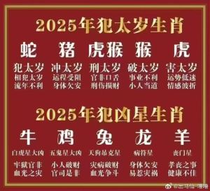 本周生肖运势：兔蛇猪幸运物揭秘，财运事业双丰收！