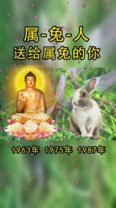 2025年11月底：鼠兔蛇鸡生肖爱情事业双丰收