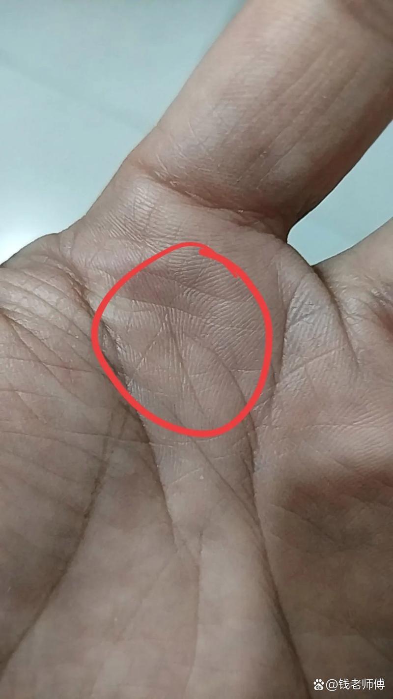 手相之谜：手掌薄预示命苦？揭秘手相学真相