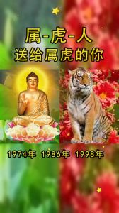 生肖运势揭秘：虎羊猴本月好运来，转运珠助力梦想成真！