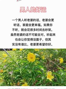 婚姻情感试炼：揭秘男人为何常忆前女友，坚守忠诚之道