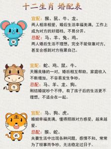 2025星座生肖情感：揭秘隐藏动机与理性选择