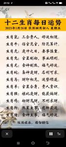 生肖鼠马猴幸运物揭秘，运势提升指南