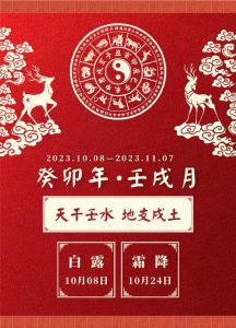 2024年12月24日运势揭秘：壬戌日宝宝吉祥指南