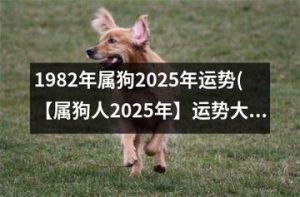 2025属狗爱情婚姻：多变机遇与稳定之道