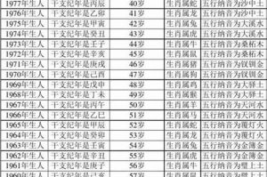 2025年生肖星座运势揭秘：腾飞逆袭生肖大盘点