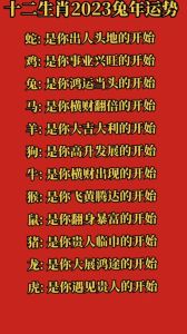 2025年生肖运势揭秘：鼠牛虎兔机遇与挑战并存