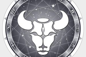 金牛座特质揭秘：稳定与固执的人生轨迹