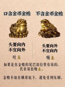 今日运势：细节守护财富与健康，谨慎应对爱情与金钱