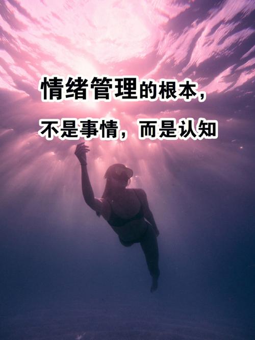 情绪管理关键日：信任与理智，开启和谐生活
