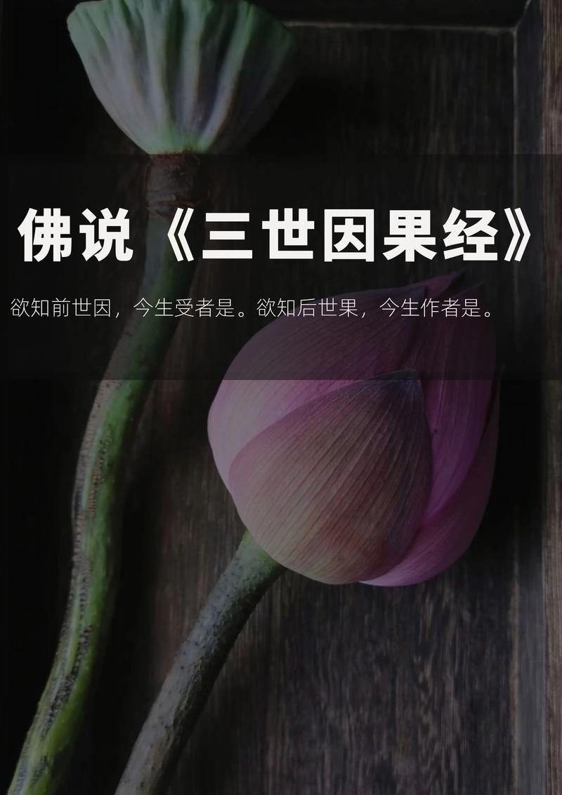 佛教三世因果与六道轮回：揭秘生辰八字中的前世命运