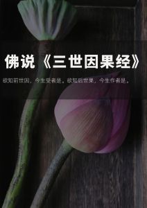 佛教三世因果与六道轮回：揭秘生辰八字中的前世命运