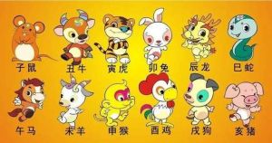 2025年生肖运势巅峰：龙马猴猪大吉，成功需努力把握！