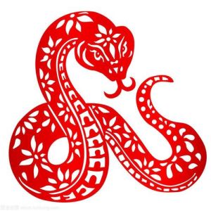2025生肖运势：鼠龙虎蛇巅峰年，财运事业双丰收