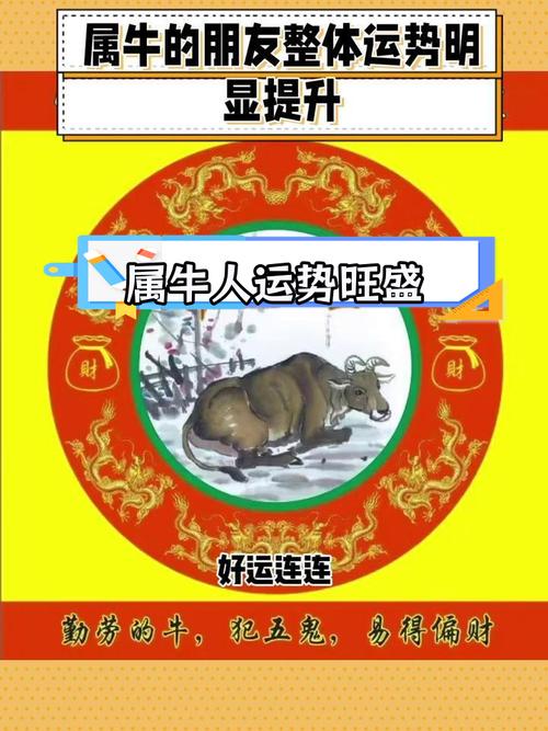 2025年生肖运势：飞跃机遇，财运事业双丰收