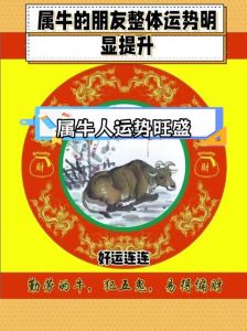 2025年生肖运势：飞跃机遇，财运事业双丰收