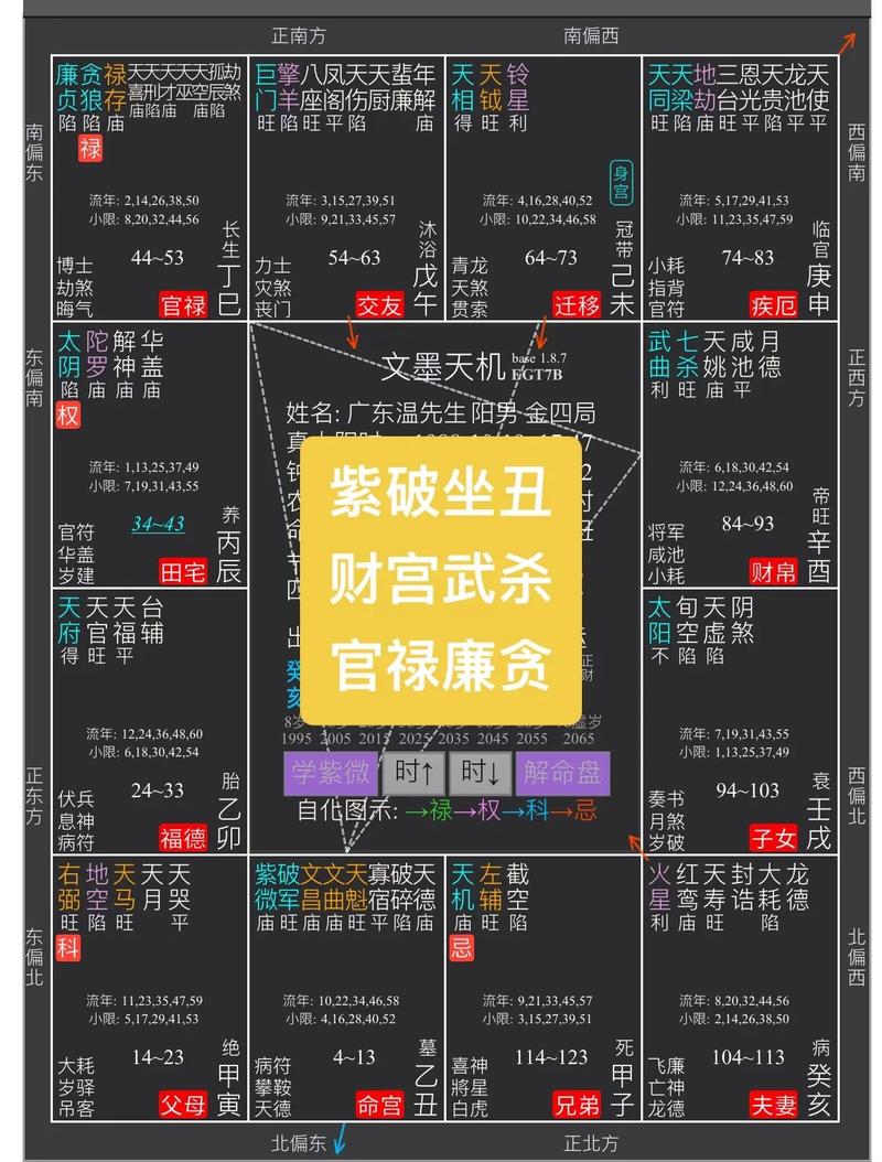 紫微斗数天府星揭秘：财富掌管者的小瑕疵