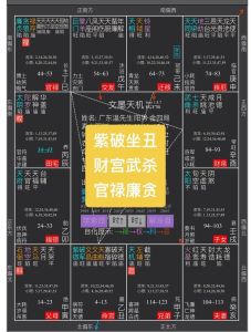 紫微斗数天府星揭秘：财富掌管者的小瑕疵