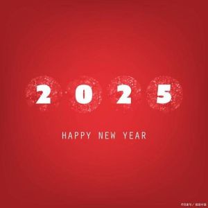 2024年12月24日运势揭秘：属蛇兔虎马大吉，2025年紫微年运展望