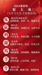 2025年生肖运势：鼠龙猴狗事业腾飞，财源广进！