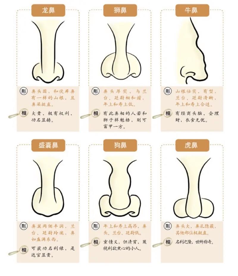 面相学揭秘：鼻子形态影响财运，揭秘财富面相奥秘