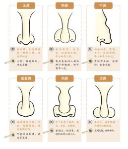 面相学揭秘：鼻子形态影响财运，揭秘财富面相奥秘