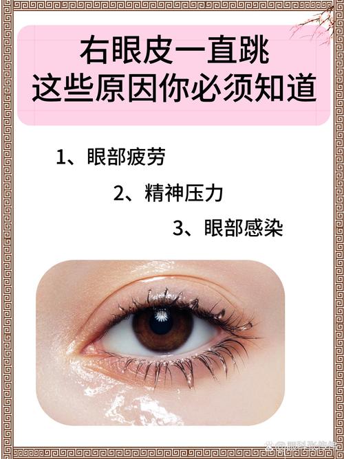 揭秘眼皮跳动：科学解释与缓解方法