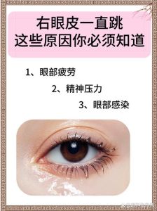 揭秘眼皮跳动：科学解释与缓解方法