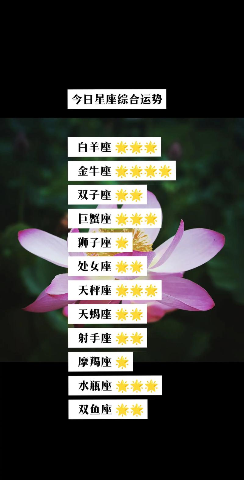 12月23日星座运势揭秘：白羊巨蟹狮子兔好运来袭！