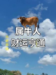 鼠牛虎兔运势飙升：爱情财富双丰收，你准备好了吗？