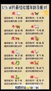 12月23日星座生肖运势：爱情财运事业大转机！