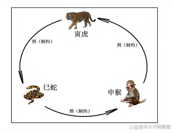 生肖虎蛇猴运势揭秘：爱情财运事业大揭秘