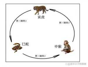 生肖虎蛇猴运势揭秘：爱情财运事业大揭秘