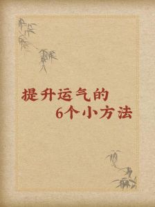 丝袜：时尚与女性命运的密语