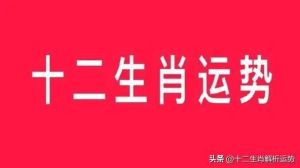寒露吉时：鼠鸡龙羊运势大逆袭，把握机遇迎蜕变！